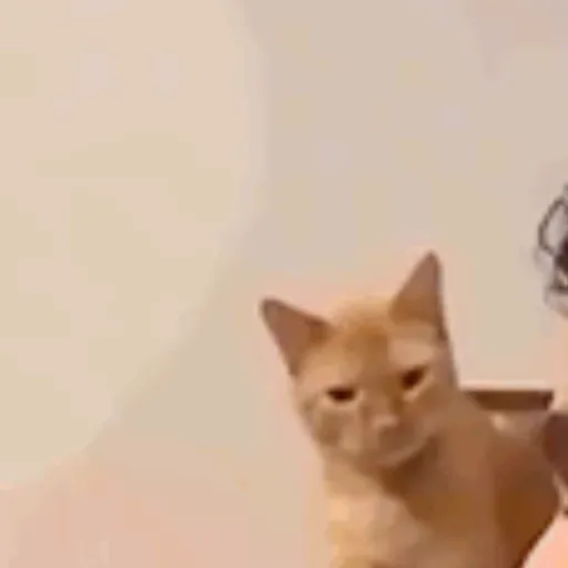 Random Stickers 24