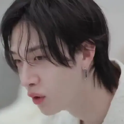 BANGCHAN / STRAYKIDS  3