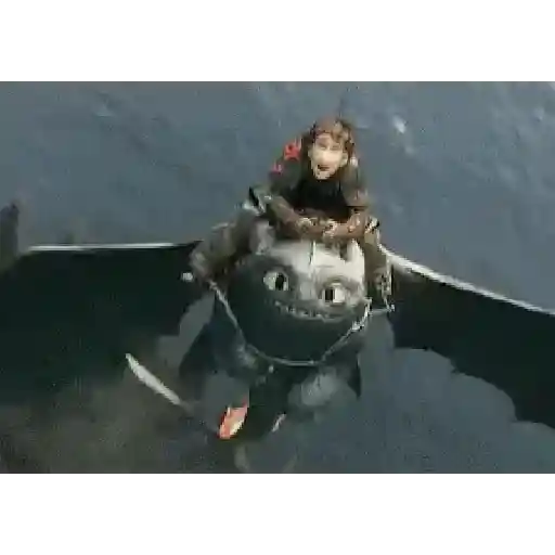 Dragon Trainer  19