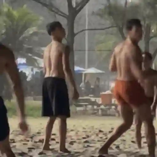 AMIGOS 7