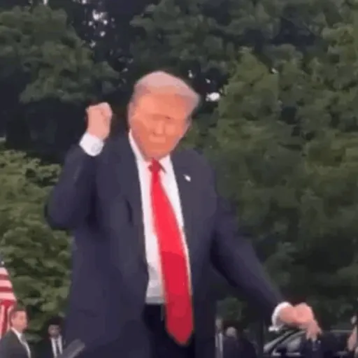 🇺🇸 TRUMP 🇺🇸 4