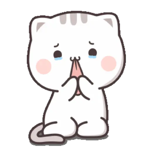 Kucing gemoy 29