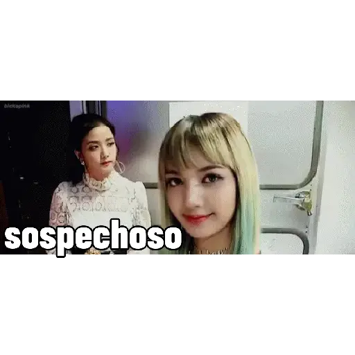 Fans de blackpink 4