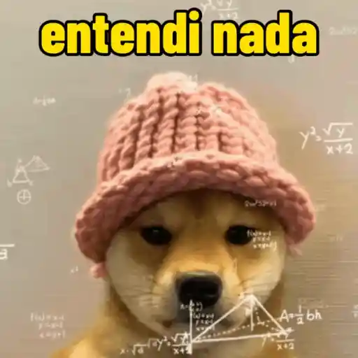 Cachorro responde 11