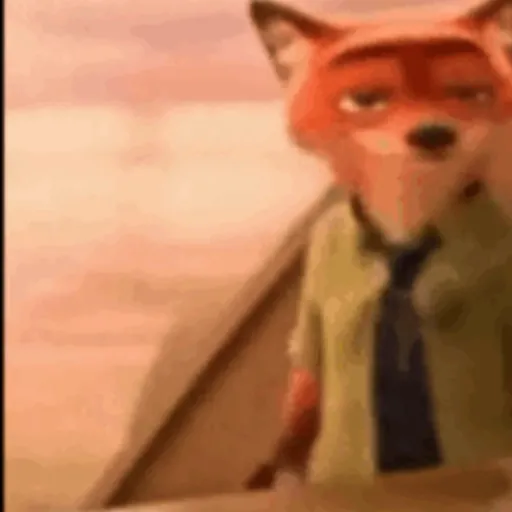 Cats 17