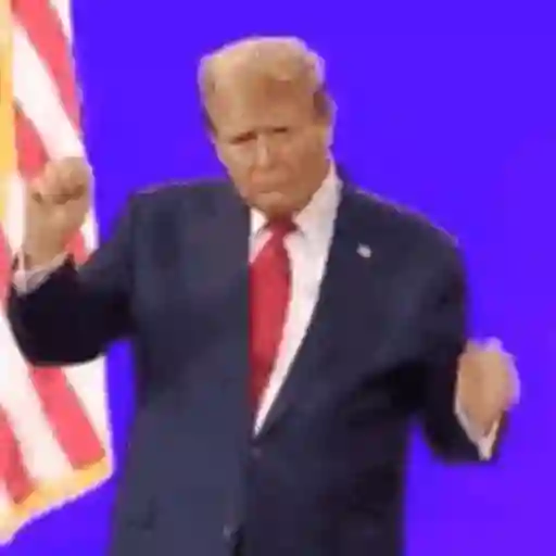 🇺🇸 TRUMP 🇺🇸 13