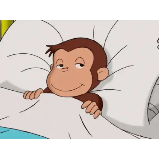 Tiernos 19
