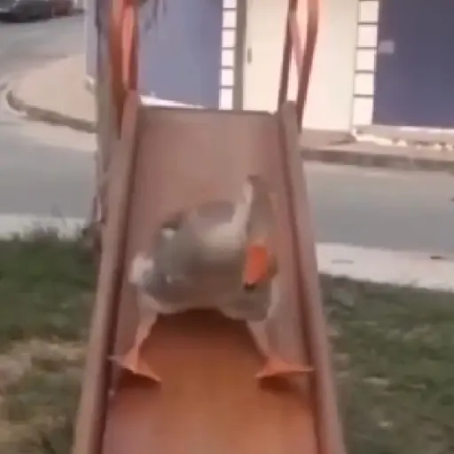 Random 2