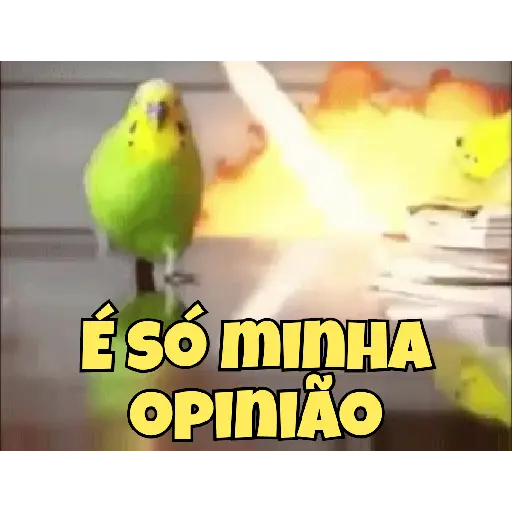 Meus Gifs 10