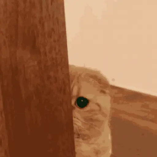 Cats 5