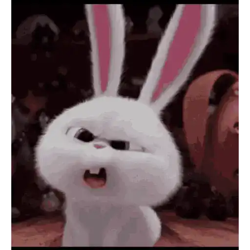 Animal Reactions 14