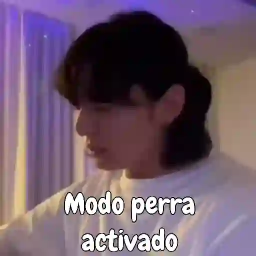 BTS 74 13