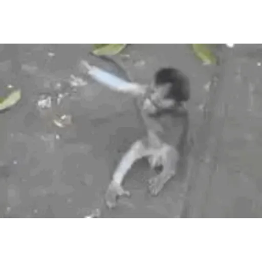 Gifs 11