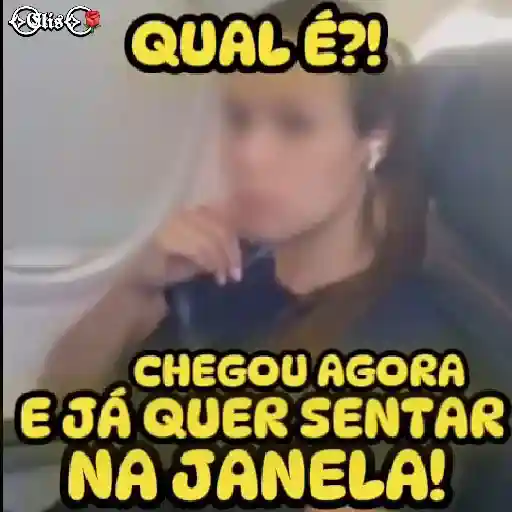 Zueira sadia 6