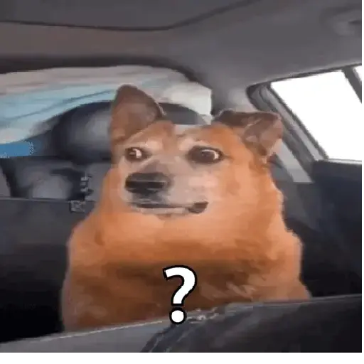 REAÇÕES  1