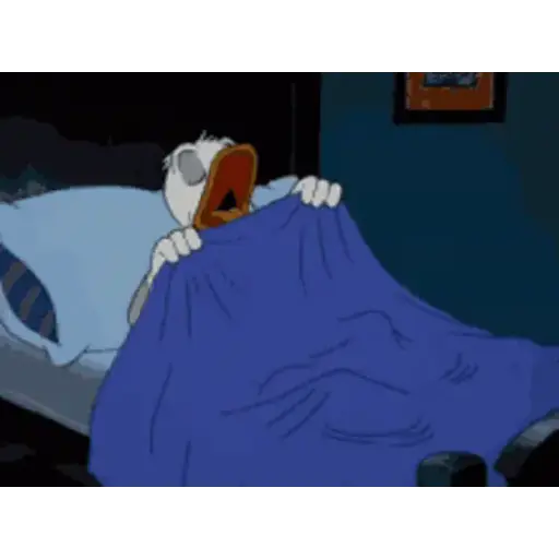 Pato donald 5