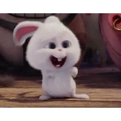Tiernos 16