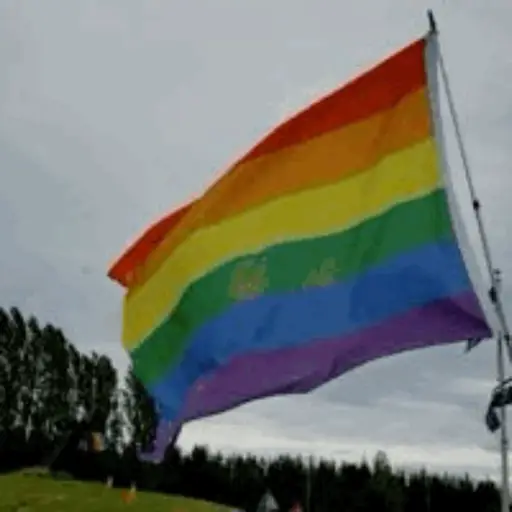 Gifs 24