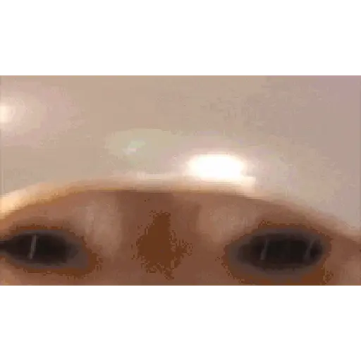 Chat-animadas 3 24