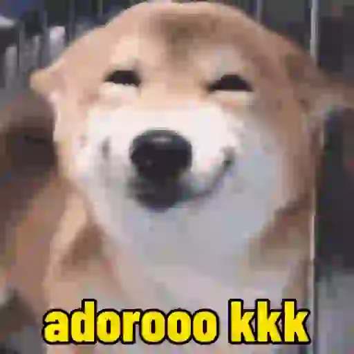 Cachorro responde 8