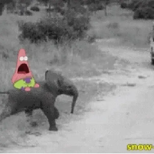 El que se lo robe es gey 12
