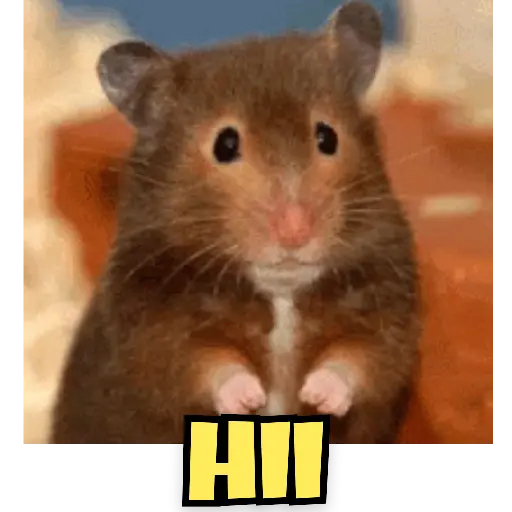 Animal Reactions 1