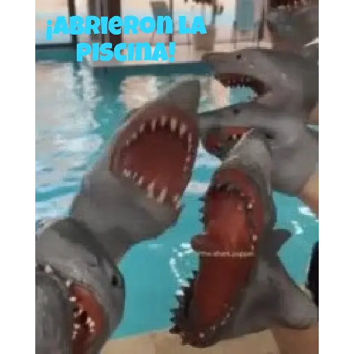 VideoStickers 4