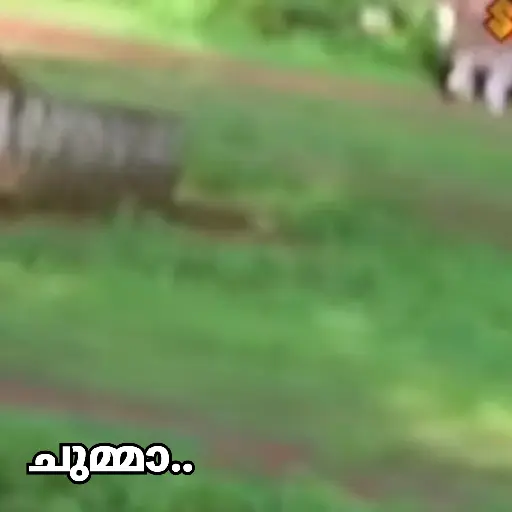 Malayalam Movie Cuts Part 3 17
