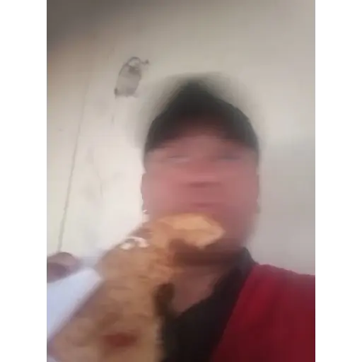 JAJA 8