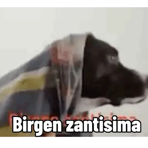 El que se lo robe es gey 4
