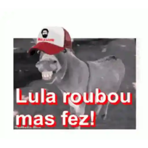 Política GIF 2