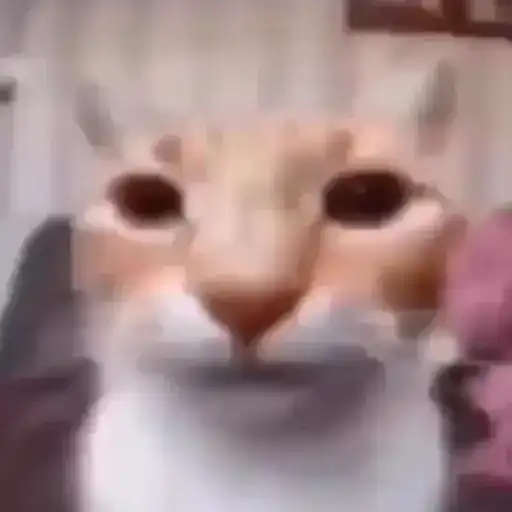 Shitpost 3 💥☠️ 3