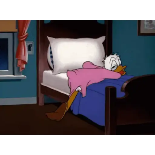 Pato donald 9