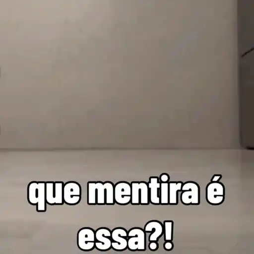 Cachorro responde 2