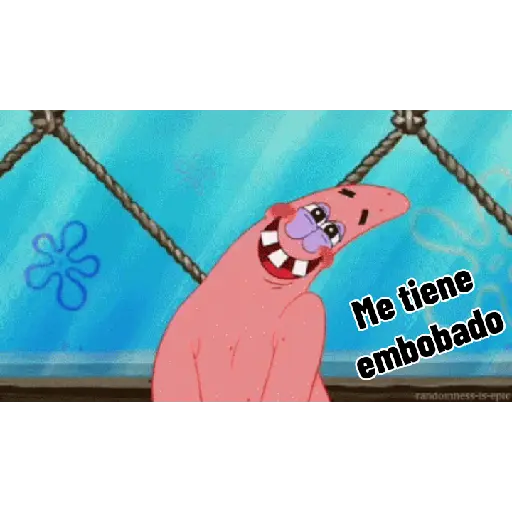 Niños locos 13
