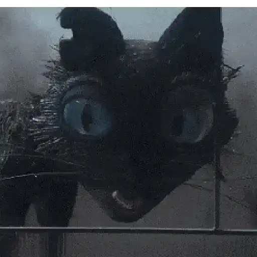 Coraline y la puerta secreta 11