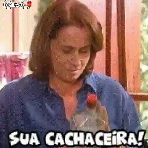 Zueira sadia 12