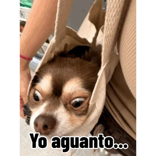 Mis pegatinas 11