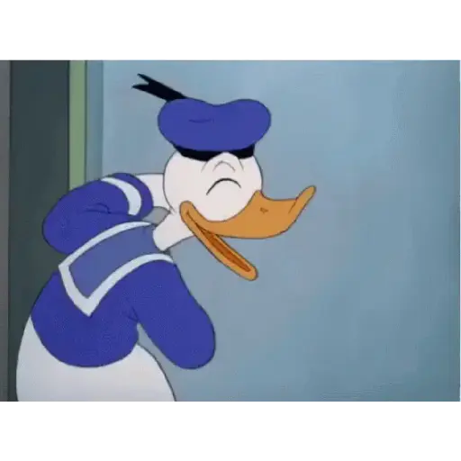 Pato donald 10