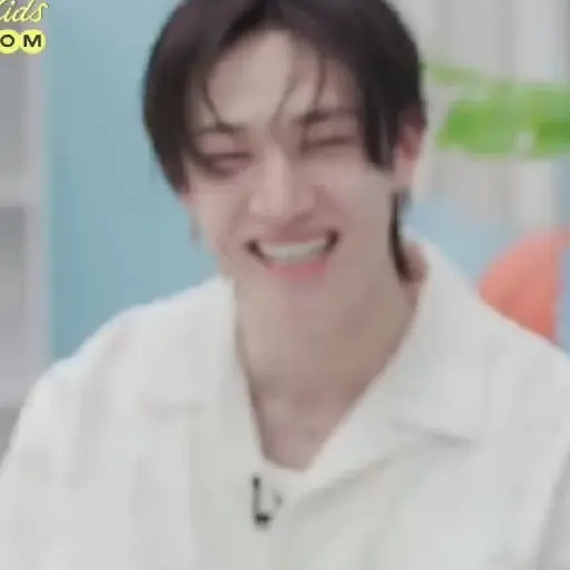 BANGCHAN / STRAYKIDS  13
