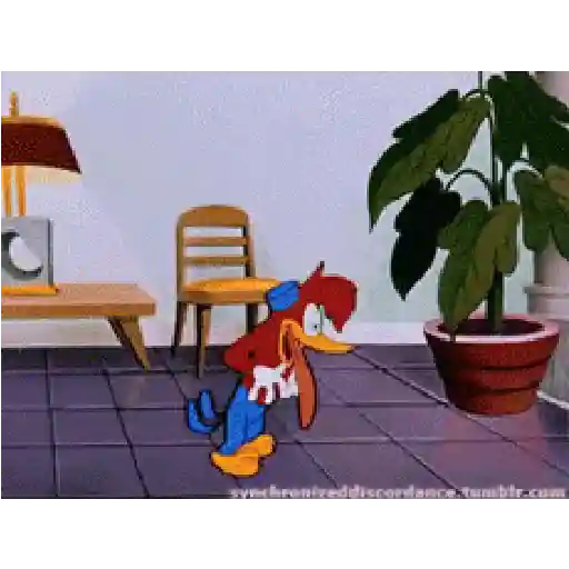 Pica pau animadas 9