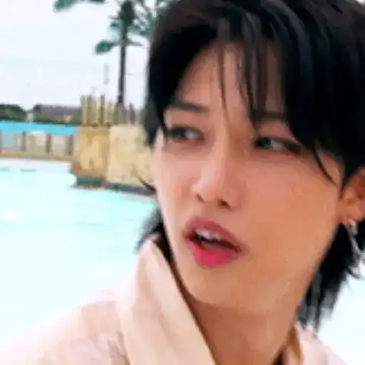 Lee Felix Stray Kids  19