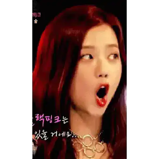 Fans de blackpink 15