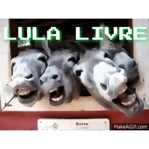 Política GIF 3