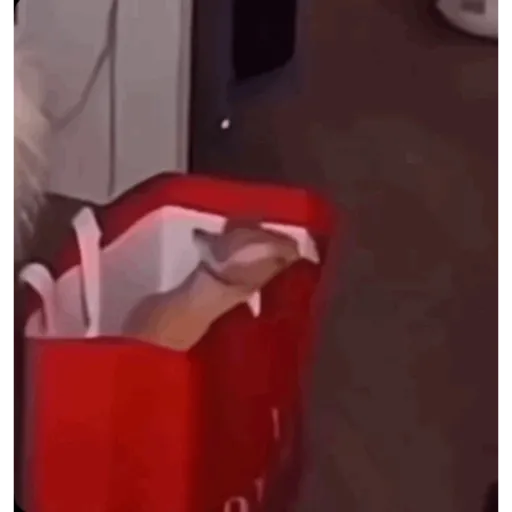 Buendia 28