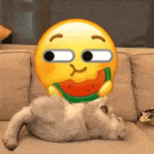 💫 Gatos con emojis❣️ 26