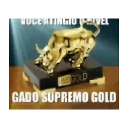 Meus Gifs 16