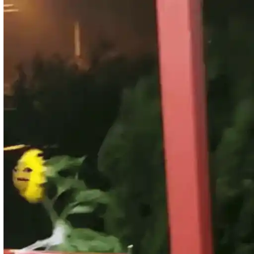 El que se lo robe es gey 2