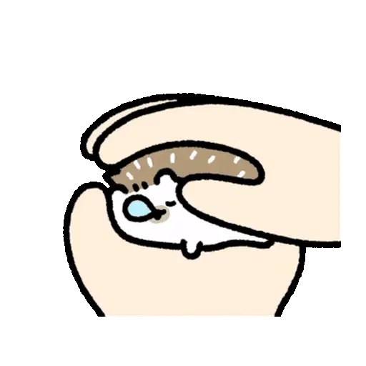 Erizo Animado 🦔 15