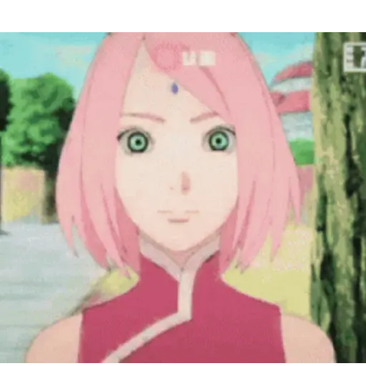 Sakura 17